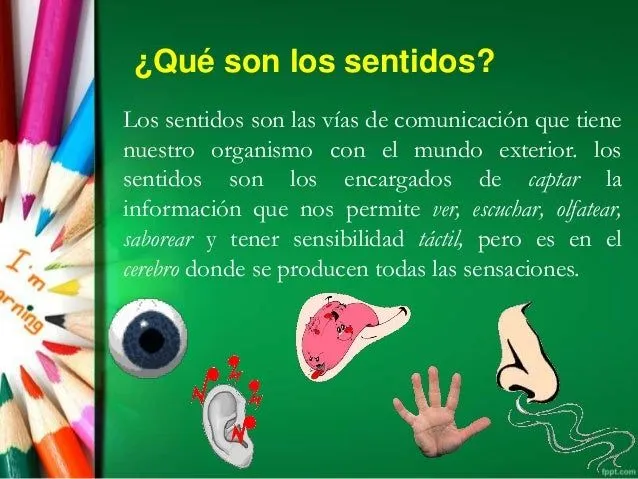 los-sentidos-del-ser-humano-2- ...