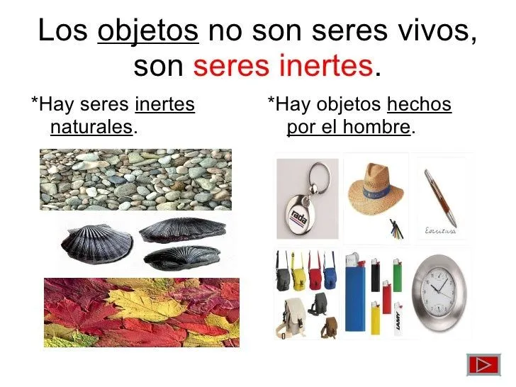 los-seres-vivos-9-728.jpg?cb= ...
