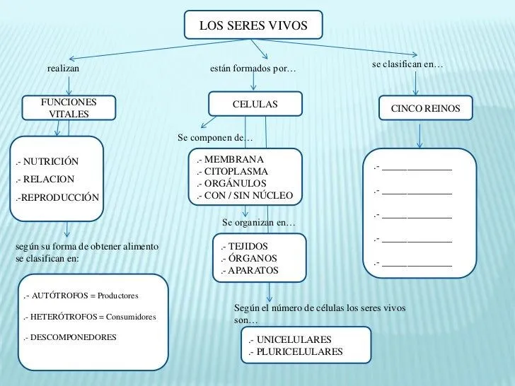 los-seres-vivos-mapa- ...