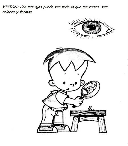 Dibujos para colorear de sentido del oido para preescolar - Imagui