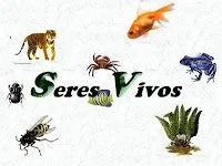 Olguchiland: SERES VIVOS...LIVING THINGS