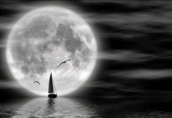 PROYECTO VERSICOS: EL MAR DE LA NOCHE (Recita Guillermo Ortega, actor)