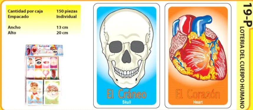 Loterias cuerpo humano - Imagui