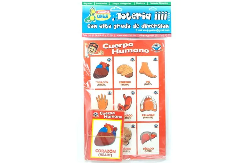 LOTERIAS DEL CUERPO HUMANO, JUEGO DE MESA DIDACTICO. | WIWI LOTERIAS DEL CUERPO HUMANO, JUEGO DE MESA DIDACTICO. | WIWI