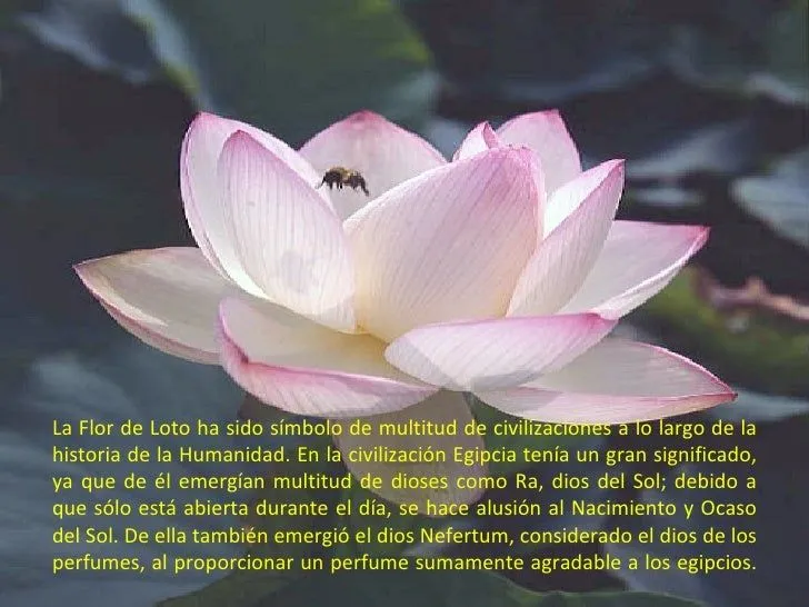 loto-2-728.jpg?cb=1236209791