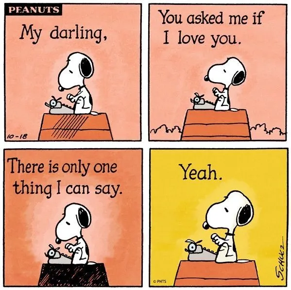 Love cartoon via www.Facebook.com/Snoopy | Quotes that I love ...