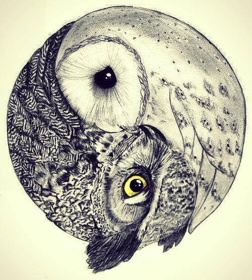 love drawing art animals cute hipster vintage indie Grunge animal ... love drawing art animals cute hipster vintage indie Grunge animal ...