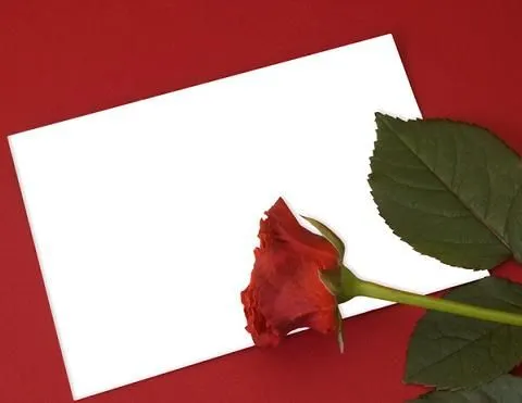 El Diario de Un Observador: HISTORIAS DE AMOR Y AMISTAD: TU AMANTE ...