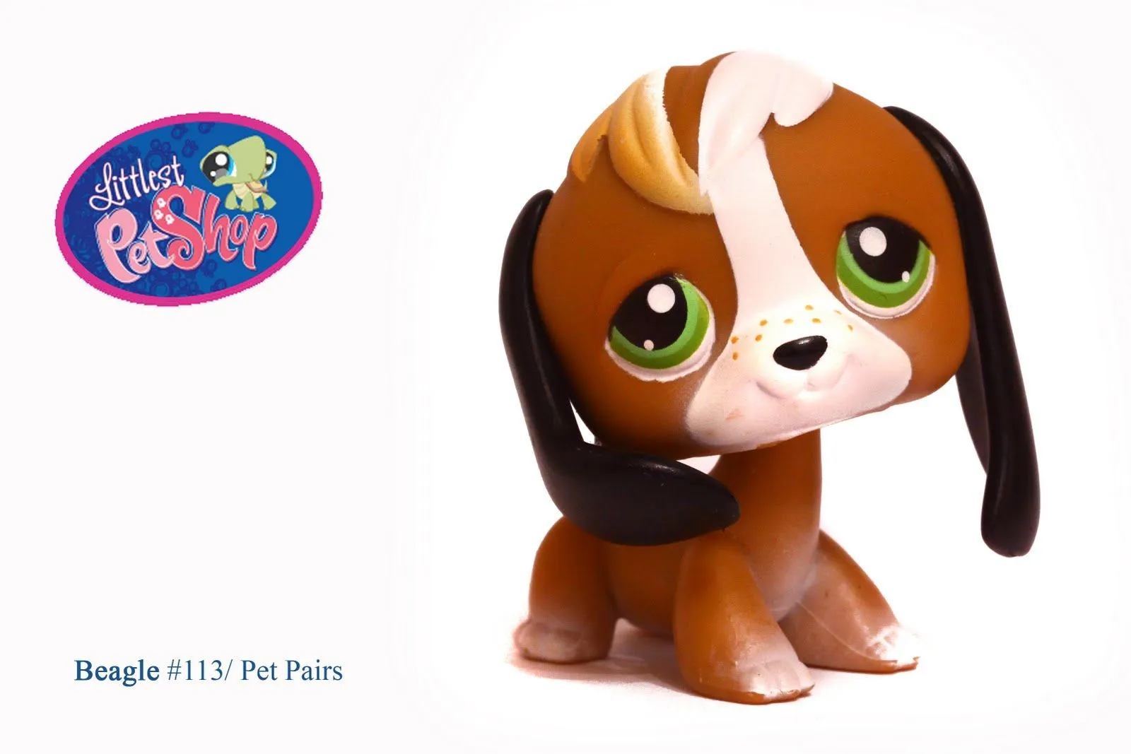 LPS! - Thanks for coming to my website!It really means ALOT! LPS! - Thanks for coming to my website!It really means ALOT!