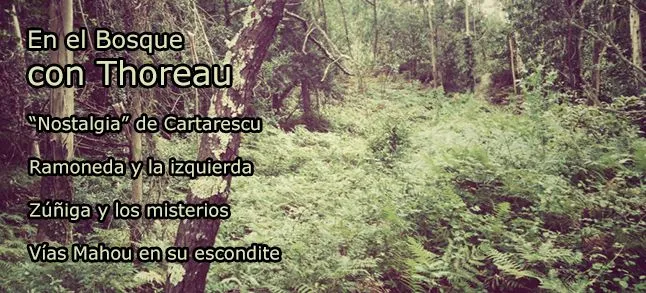 LS #2 /2013 | Lecturas Sumergidas