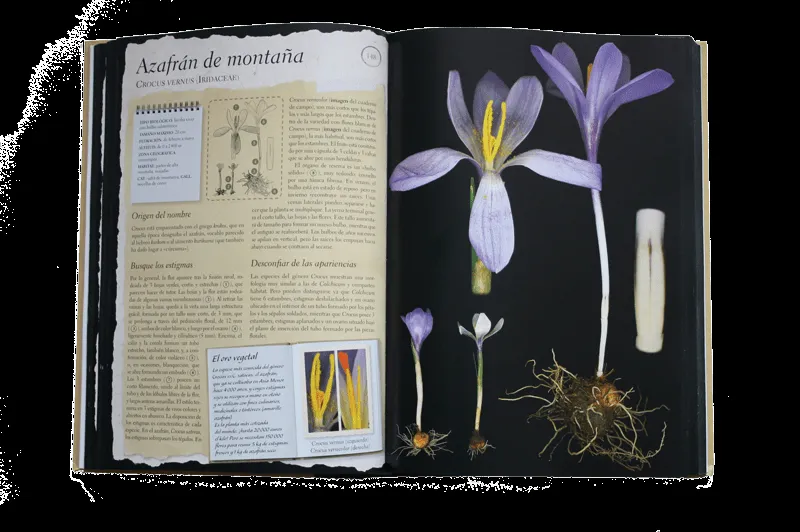 Luar na fraga: enero 2012