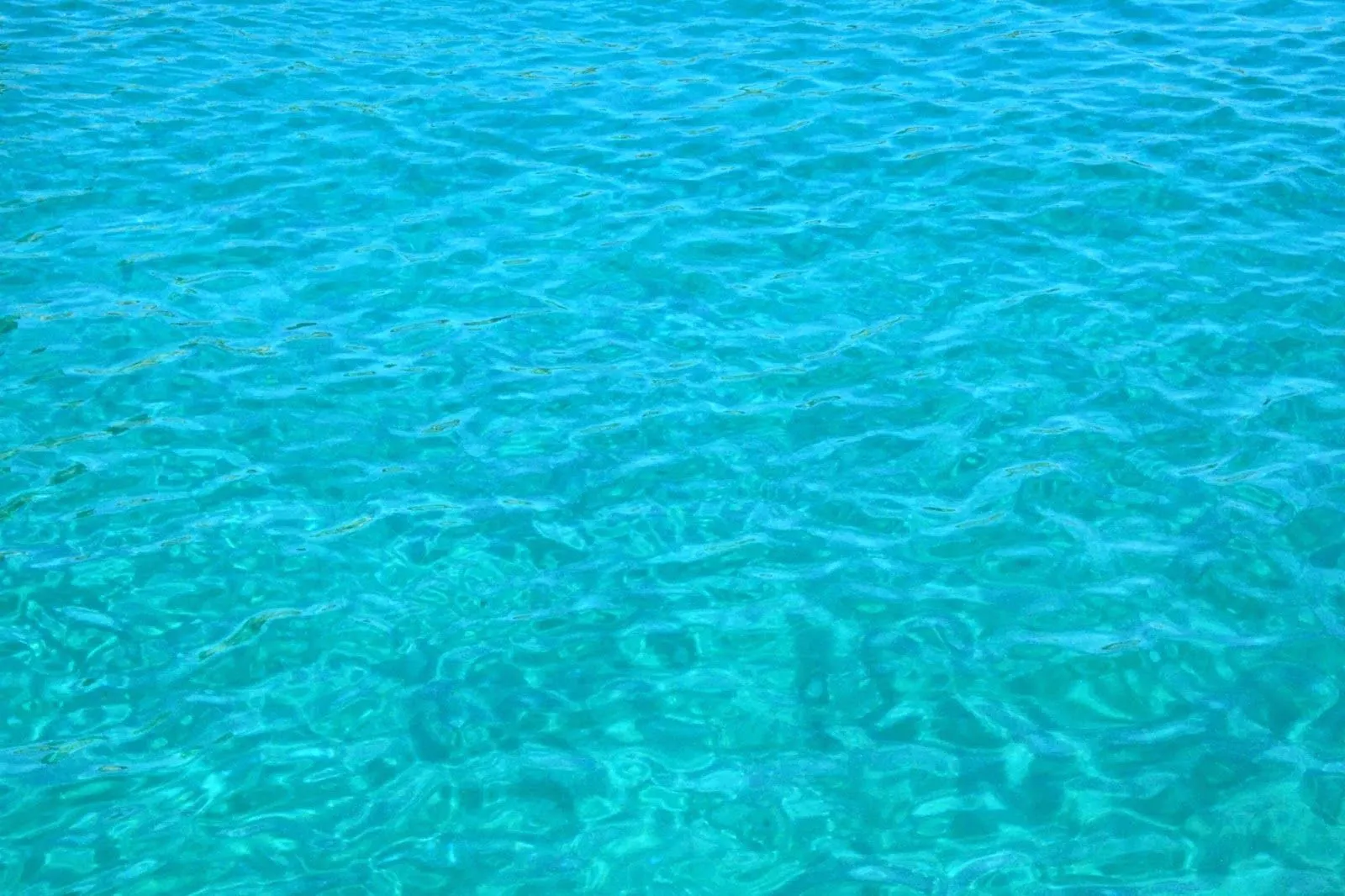 de las luces y otras cosas...: ¿Azul o verde turquesa? de las luces y otras cosas...: ¿Azul o verde turquesa?