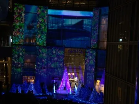 Luces de Navidad. Caretta Blue Ocean Christmas | Tanto por conocer