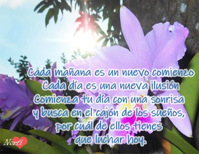 La lucha por alcanzar nuestras aspiraciones, metas y felicidad