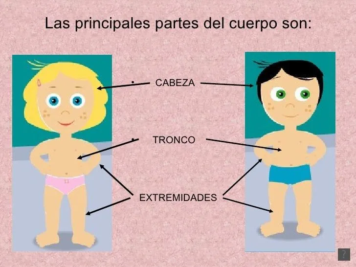 CLASE DE 4 AÑOS A. CEIP MIGUEL HERNÁNDEZ Laguna de Duero: octubre 2015 CLASE DE 4 AÑOS A. CEIP MIGUEL HERNÁNDEZ Laguna de Duero: octubre 2015
