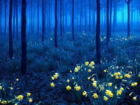 lugares bonitos | facilisimo.com