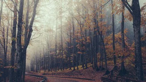 lugares bonitos del mundo | Tumblr