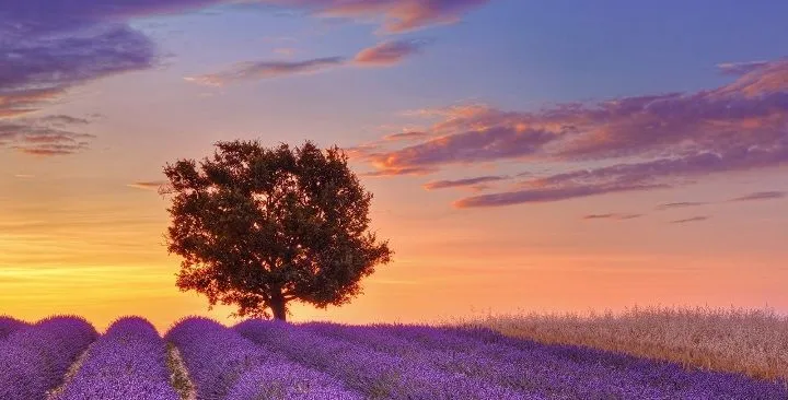 Lugares-preciosos-para-visitar ...