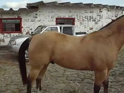 Luigi, Cuarto de Milla Puro. 3 - YouTube