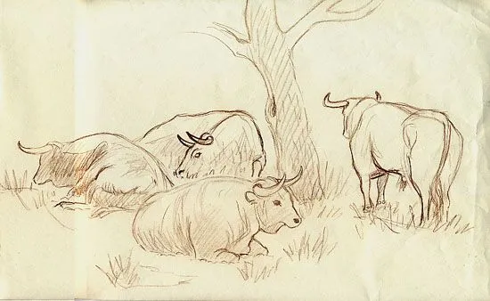 Luis M. Cuaresma - Pintura de la Naturaleza Luis M. Cuaresma - Pintura de la Naturaleza