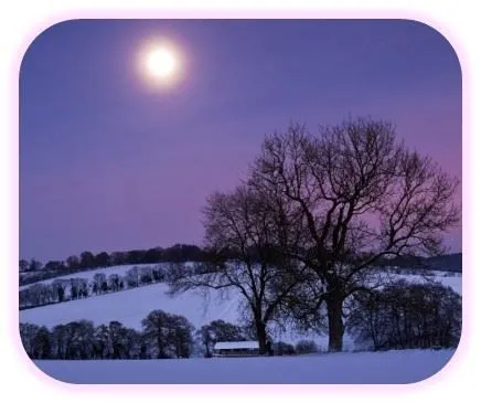 Una Luna llena romántica | Moonmentum