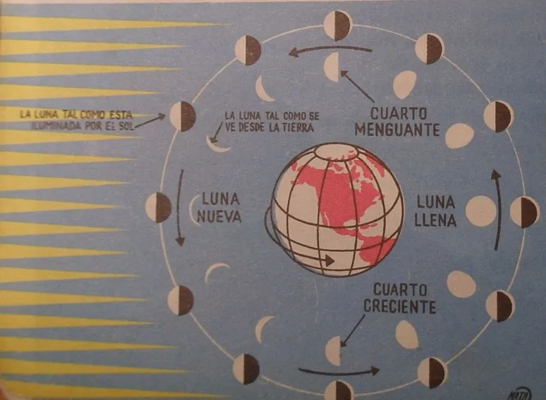 La Luna, antes y después de la pedagogía moderna | Pseudópodo