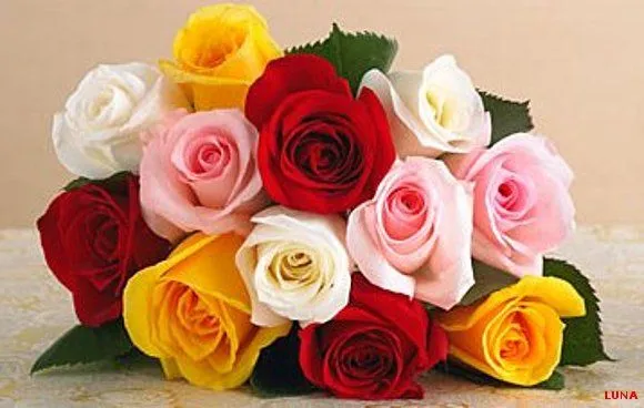 Lunes… Hablen Conmigo ~ No Todo Es Color De Rosas | EL RINCONCITO ... Lunes… Hablen Conmigo ~ No Todo Es Color De Rosas | EL RINCONCITO ...