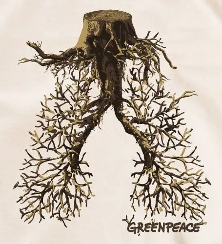 lungs of the earth | Tumblr