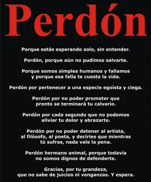 Luto. Animalistas Indignados | Bienvenidos Gateros!