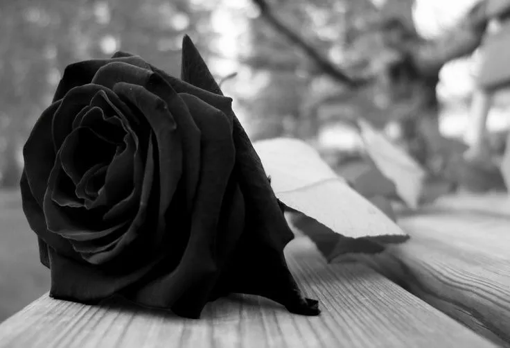 Luto! on Pinterest | I Miss U, Frases and Te Amo Luto! on Pinterest | I Miss U, Frases and Te Amo