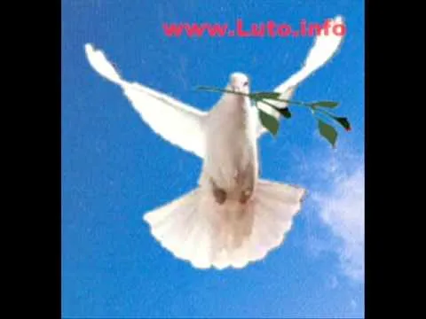 Luto. Video 2 - YouTube