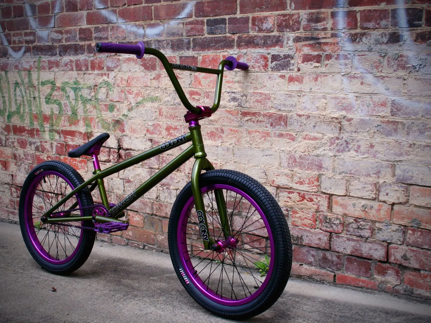 LUXBMXSTORE: Donatello Colony Lowcut Custom