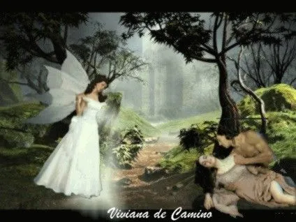 Luz de Luna: Mis angeles y hadas