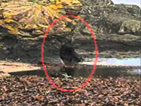 luzbybernal.com: Espiritus fantasmas / ghost reales ( paranormales ... luzbybernal.com: Espiritus fantasmas / ghost reales ( paranormales ...