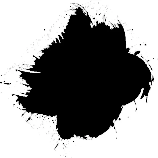 Luzhaith-Editions': MANCHAS