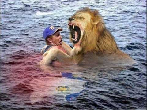 LVBP: NAVEGANTE DEL MAGALLANES Y LEONES DEL CARACAS ( CAMPEÒN 2009 ... LVBP: NAVEGANTE DEL MAGALLANES Y LEONES DEL CARACAS ( CAMPEÒN 2009 ...