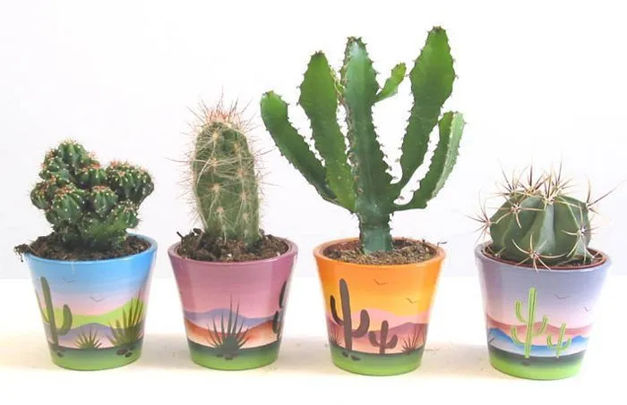 macetas decoradas con cactus | IDEAS | Pinterest | Cactus macetas decoradas con cactus | IDEAS | Pinterest | Cactus