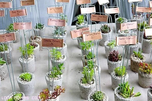 Macetas-decorativas-para-bodas.jpg