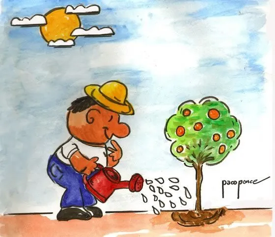 MACETOHUERTO PASO A PASO: APRENDER A REGAR PLANTAS EN MACETA MACETOHUERTO PASO A PASO: APRENDER A REGAR PLANTAS EN MACETA