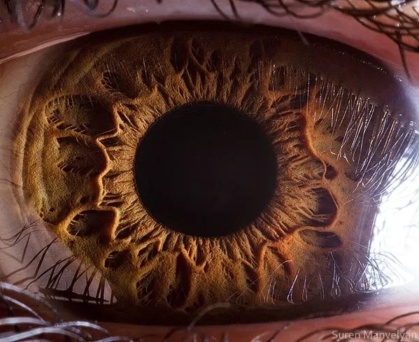 Macro fotografías del ojo humano. Imperdible ~ farandula
