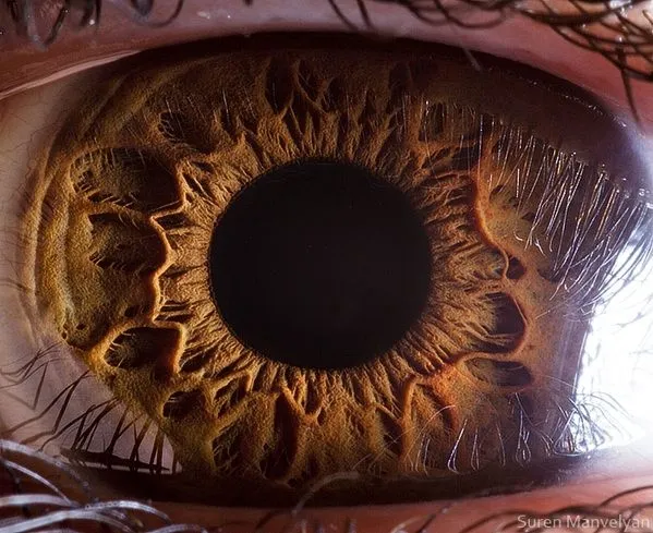 Macro fotografías del ojo humano. Imperdible ~ farandula Macro fotografías del ojo humano. Imperdible ~ farandula