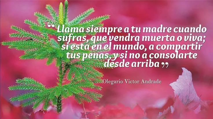 Dia de la Madre, Frases, Poemas. Frases para compartir a las ...