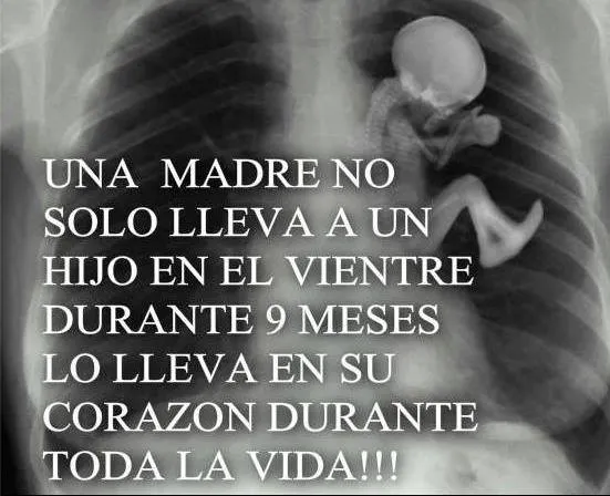 Madre e Hijo - TnRelaciones