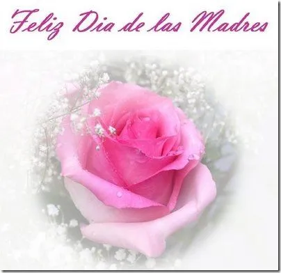 Día de la madre imágenes con flores y frases bonitas | Trato o truco