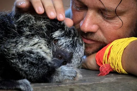 Mãe Terra: Amor aos animais: dois momentos mágicos! Mãe Terra: Amor aos animais: dois momentos mágicos!