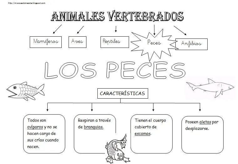 MIS COSAS DE MAESTRA*: Animales Vertebrados: Esquemas MIS COSAS DE MAESTRA*: Animales Vertebrados: Esquemas