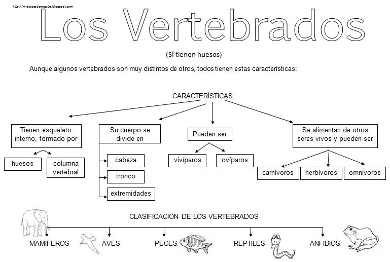 MIS COSAS DE MAESTRA*: Animales Vertebrados: Esquemas