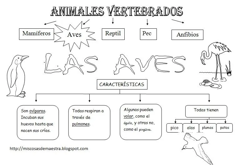 MIS COSAS DE MAESTRA*: Animales Vertebrados: Esquemas MIS COSAS DE MAESTRA*: Animales Vertebrados: Esquemas