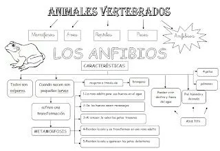 MIS COSAS DE MAESTRA*: Animales Vertebrados: Esquemas MIS COSAS DE MAESTRA*: Animales Vertebrados: Esquemas