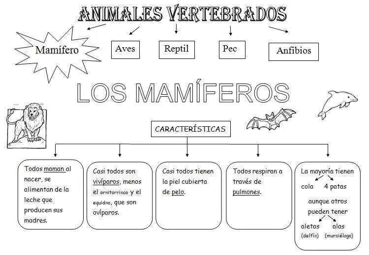 MIS COSAS DE MAESTRA*: Animales Vertebrados: Esquemas MIS COSAS DE MAESTRA*: Animales Vertebrados: Esquemas